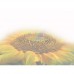 CAROL CAVALARIS COLLECTION Rainbow Sunflower